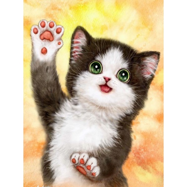 Hi Five Cat