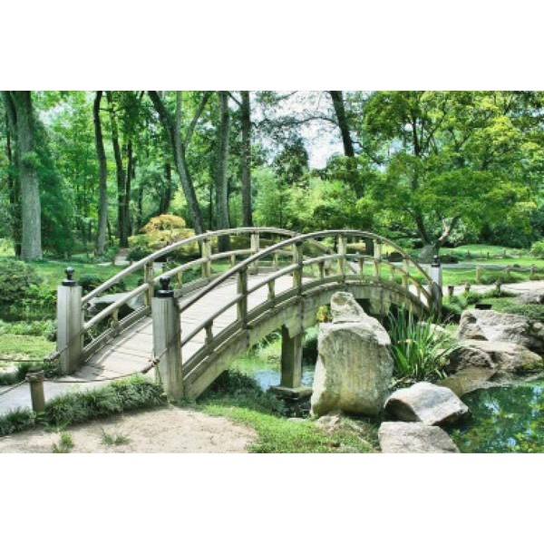 Japanese Garden