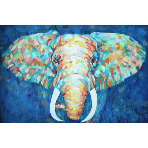 Colorful Elephant